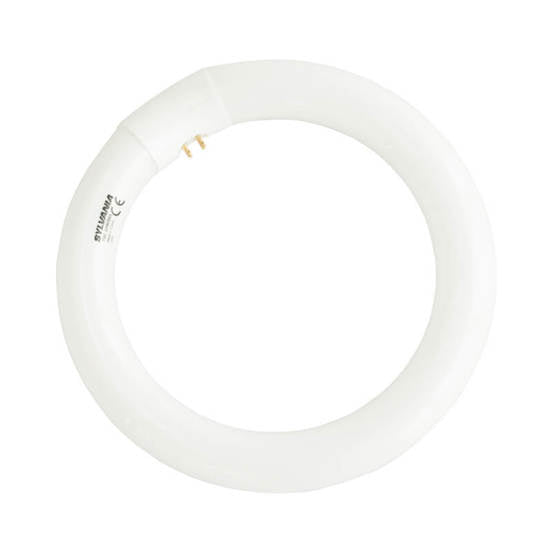 Луминисцентна лампа 22W/865 Т9 G10Q 6500К кръгла Ф216мм SYLVANIA