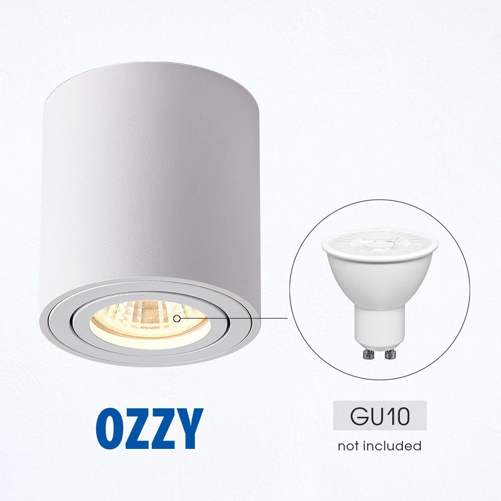 ЛУНА ЗА ВЪНШЕН МОНТАЖ OZZY ∙ DL725 ∙ GU10 ∙ БЯЛ / 004713