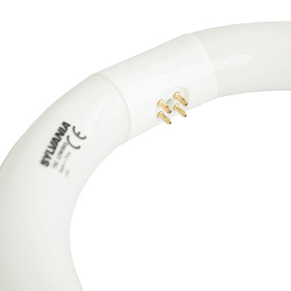 Philips Луминисцентна лампа TL-E ринг 40 W G10q неутрална светлина