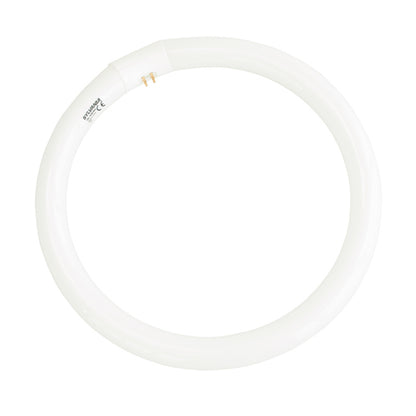 Philips Луминисцентна лампа TL-E ринг 40 W G10q неутрална светлина