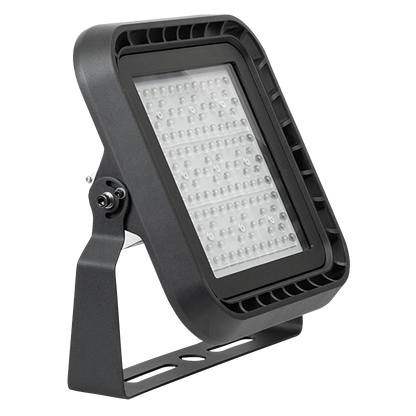Професионален LED прожектор димиращ 1-10 V DC, 100W, 5000K, 60°, 220V-240V AC, IP66 / LSF10050D60