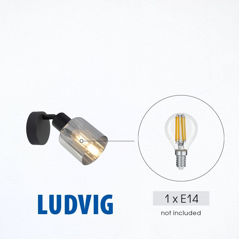 Спот LUDVIG ∙ SP976-1R ∙ 1xE14 ∙ метал+стъкло ∙ черен / 005296