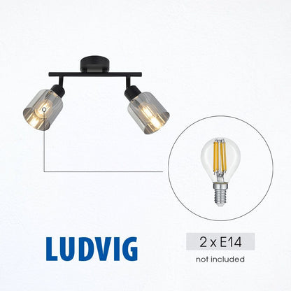 Спот LUDVIG ∙ SP977-2L ∙ 2xE14 ∙ метал+стъкло ∙ черен / 005297