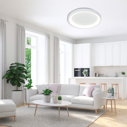 Мултифункционална LED плафониера с дистанционно ALEXA-C LED ∙ 80W ∙ бял ∙ CCT ∙ 3000-6000K / 005253