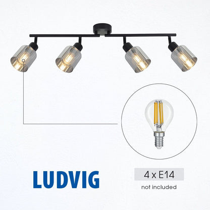 Спот LUDVIG ∙ SP979-4L ∙ 4xE14 ∙ метал+стъкло ∙ черен / 005299