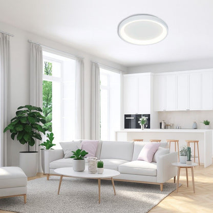 Мултифункционална LED плафониера с дистанционно ALEXA-C LED ∙ 60W ∙ бял ∙ CCT ∙ 3000-6000K /  005251