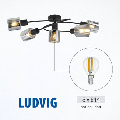 Плафон LUDVIG ∙ CL980-5C ∙ 5хЕ14 ∙ метал+стъкло ∙ черен / 005300